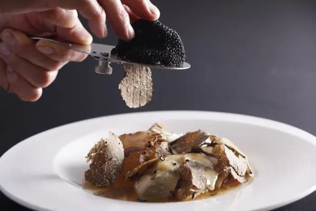 Mushrooms truffles: what taste and how to cook