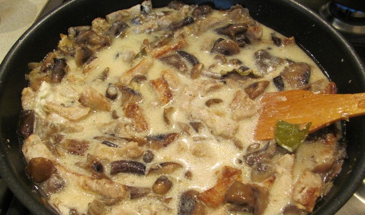 Mushrooms with chicken meat: delicious recipes