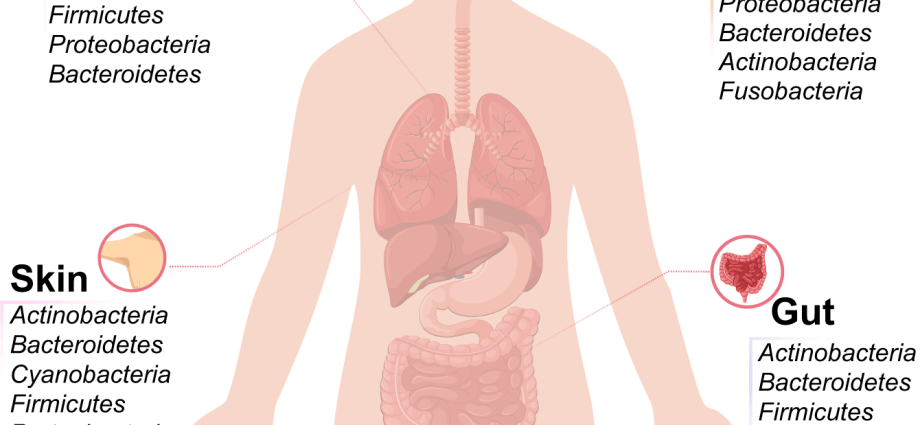 Mycoplasmosis &#8211; microorganisms that live in the human body