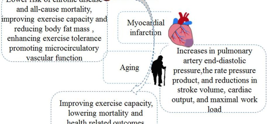 Myocardial infarction in a senior. Prevention and help for the elderly [EXPLAIN]