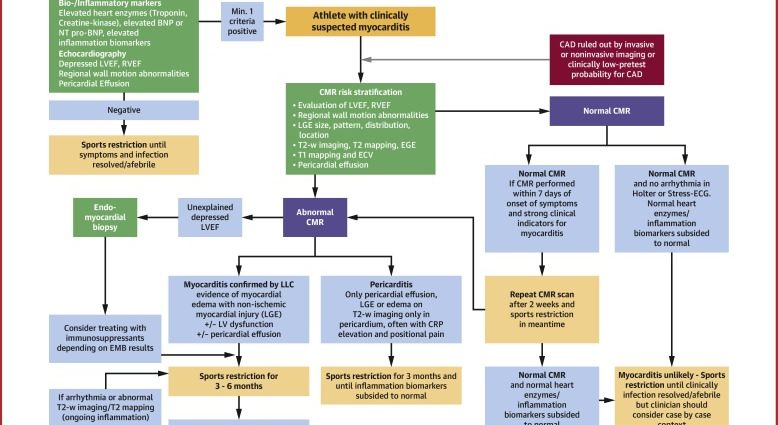 Myocarditis &#8211; a mysterious disease of young men