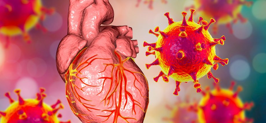 Myocarditis after COVID-19 vaccination. Scientists showed new data