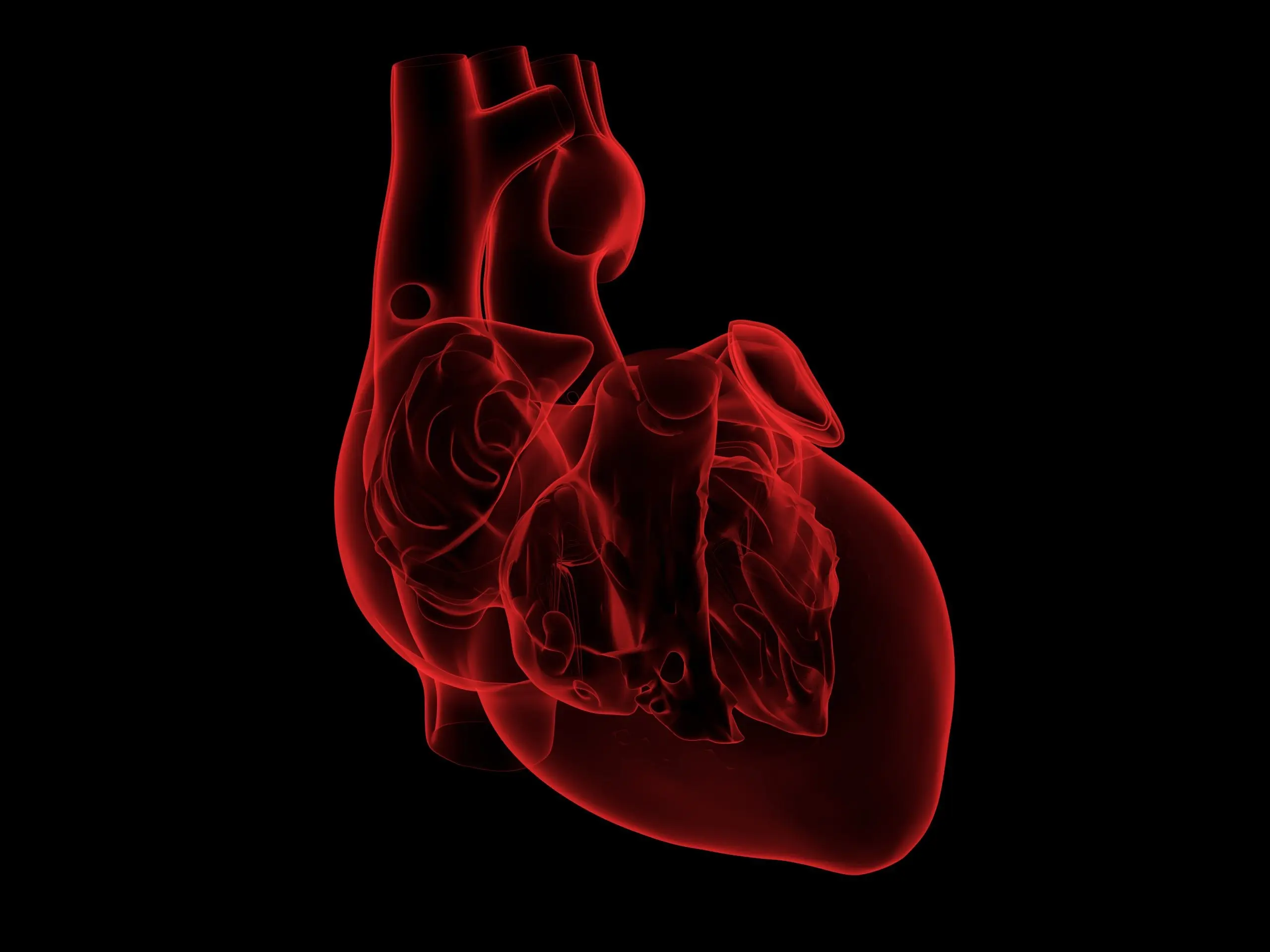 Myocarditis after vaccination. It&#8217;s dangerous? The cardiologist says straight