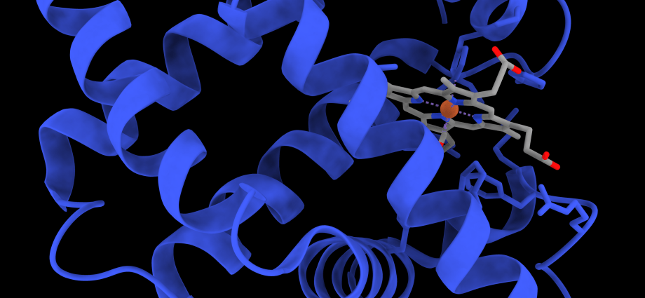 Myoglobin