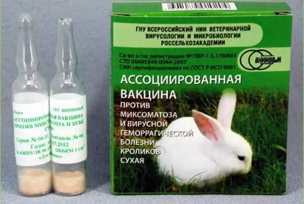 Myxomatosis in rabbits: causes, treatment