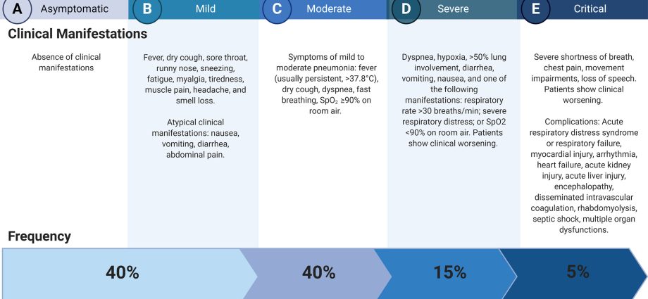 MZ spokesman: most patients in Poland are asymptomatic