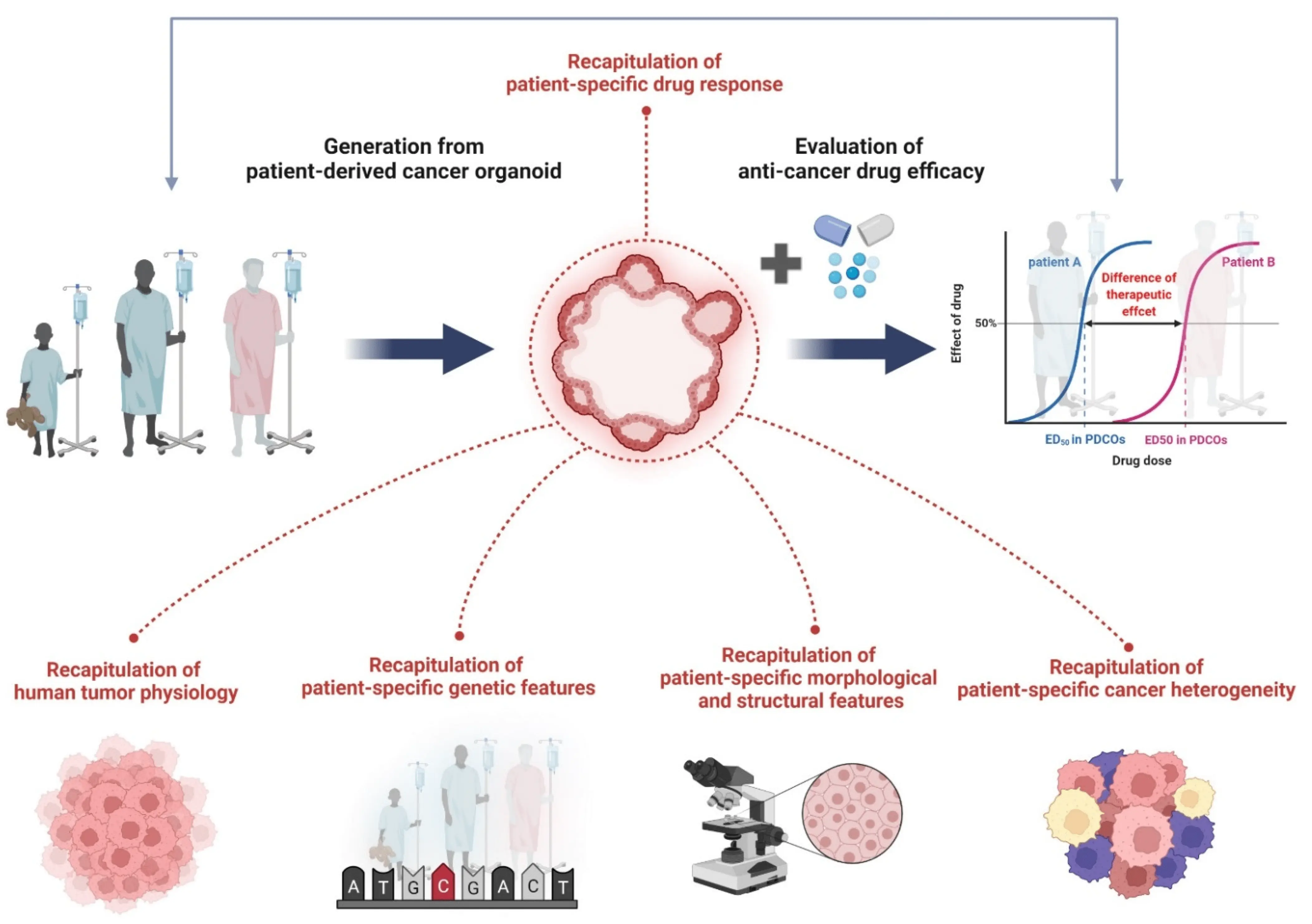 MZ: The new national anti-cancer program will go to the government in a month