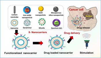 Nanoparticles allow the drug to be transported to cancer cells