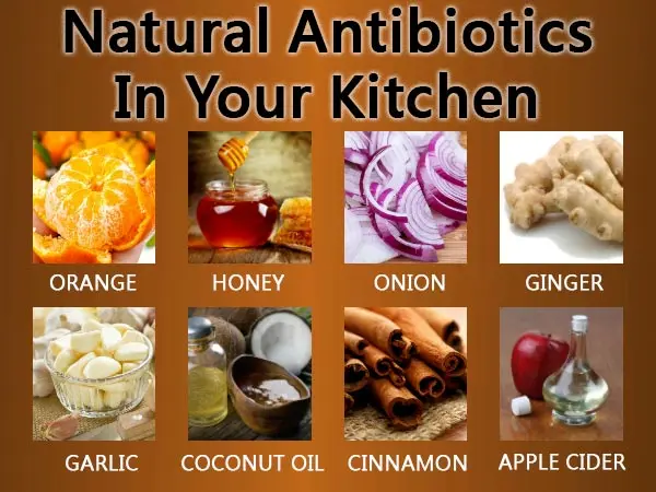 Natural antibiotics &#8211; you have them in your kitchen