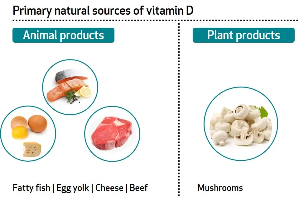 Natural sources of vitamin D &#8211; which products do you find the most in? [WE EXPLAIN]