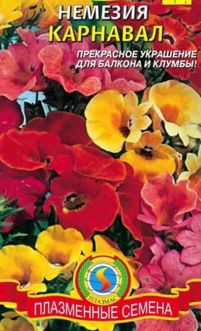 Nemesia: planting and care, photos of flowers in a flower bed and in landscape design, reviews