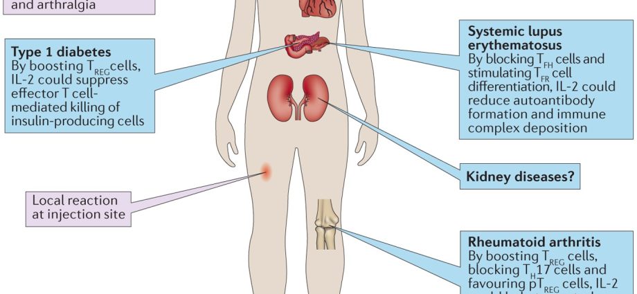 Nephrology. All about the kidneys and their diseases