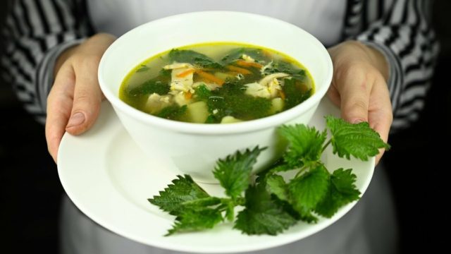 Nettle and Egg Soup: Recipes with Photos