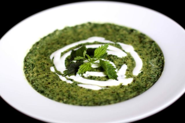 Nettle and sorrel soup: recipes with photos