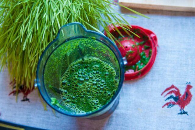 Nettle bread: step by step recipes with photos