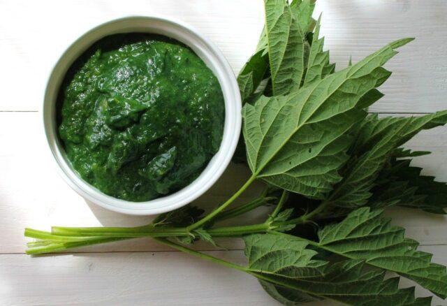 Nettle bread: step by step recipes with photos