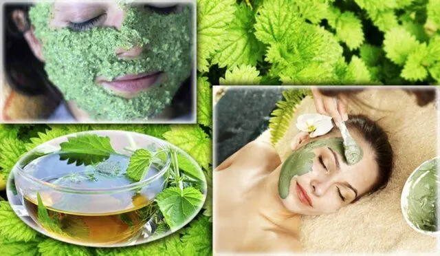 Nettle decoction and mask for the face: useful properties, application, reviews