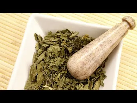 Nettle decoction and mask for the face: useful properties, application, reviews