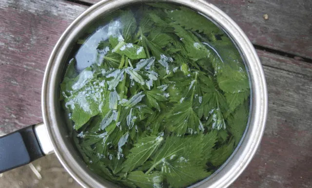 Nettle decoction and mask for the face: useful properties, application, reviews