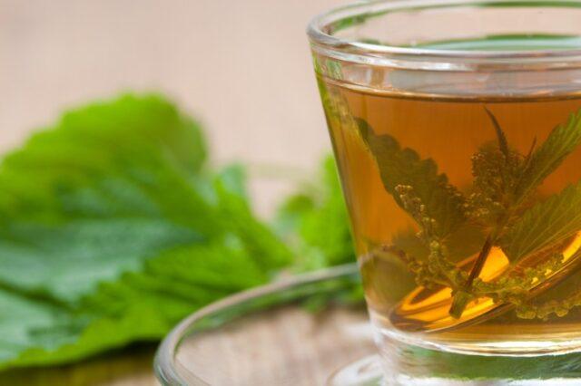 Nettle decoction and mask for the face: useful properties, application, reviews