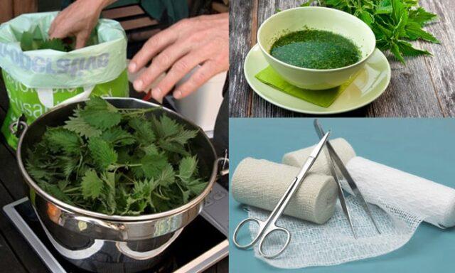 Nettle decoction and mask for the face: useful properties, application, reviews