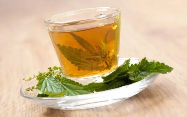 Nettle for joints: benefits and harms, recipes, rules for use