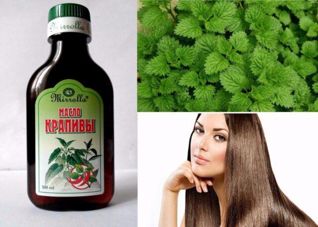 Nettle oil: benefits and applications for hair, face, reviews