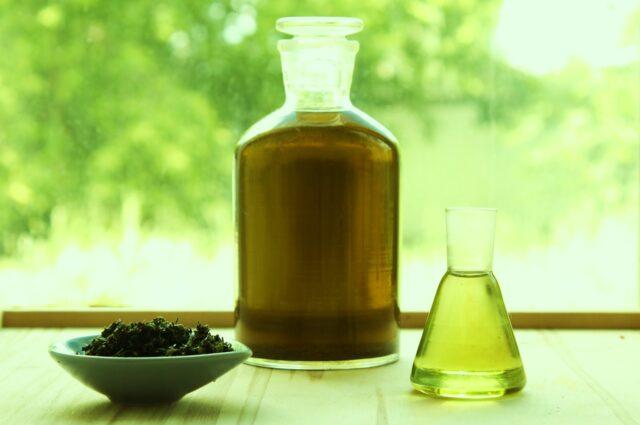 Nettle oil: benefits and applications for hair, face, reviews