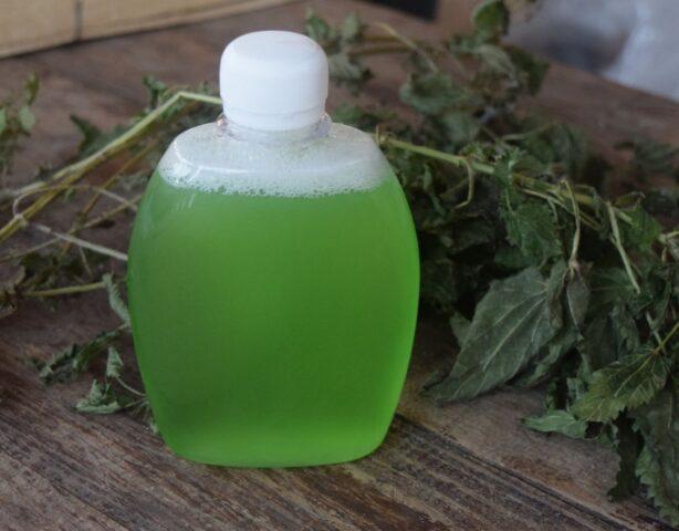 Nettle oil: benefits and applications for hair, face, reviews