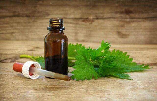 Nettle oil: benefits and applications for hair, face, reviews