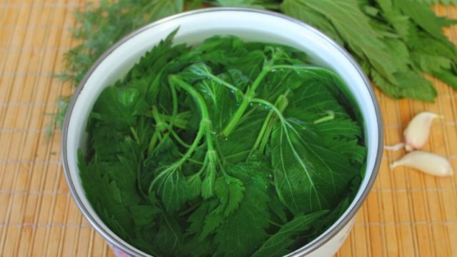 Nettle soup with dumplings: recipes with photos