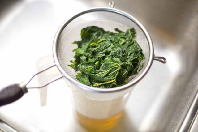 Nettle tea: benefits and harms, recipes, reviews