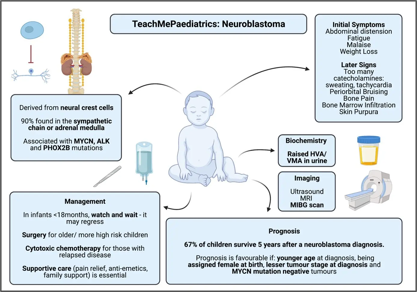 Neuroblastoma in children &#8211; causes, symptoms, diagnosis, treatment