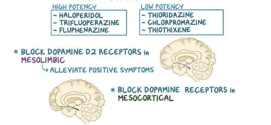 Neuroleptics &#8211; how do they work on the body? When should antipsychotics be used?