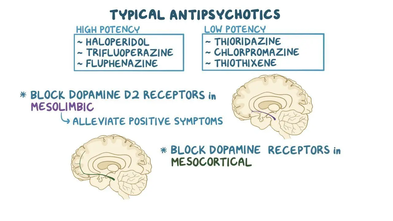 Neuroleptics &#8211; how do they work on the body? When should antipsychotics be used?