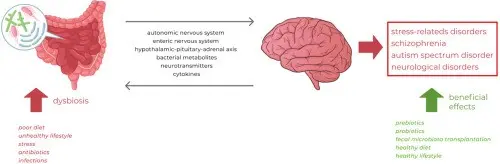 Neurological diseases affect every third of us. Their treatment in Poland is not easy