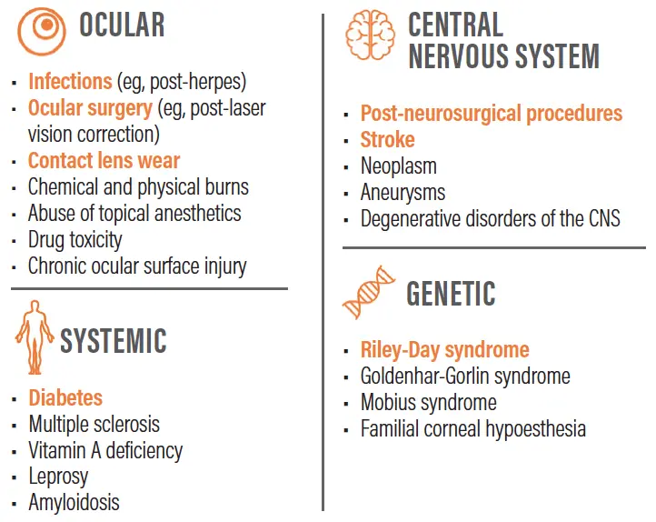 Neurotrophic keratitis &#8211; causes, treatment options