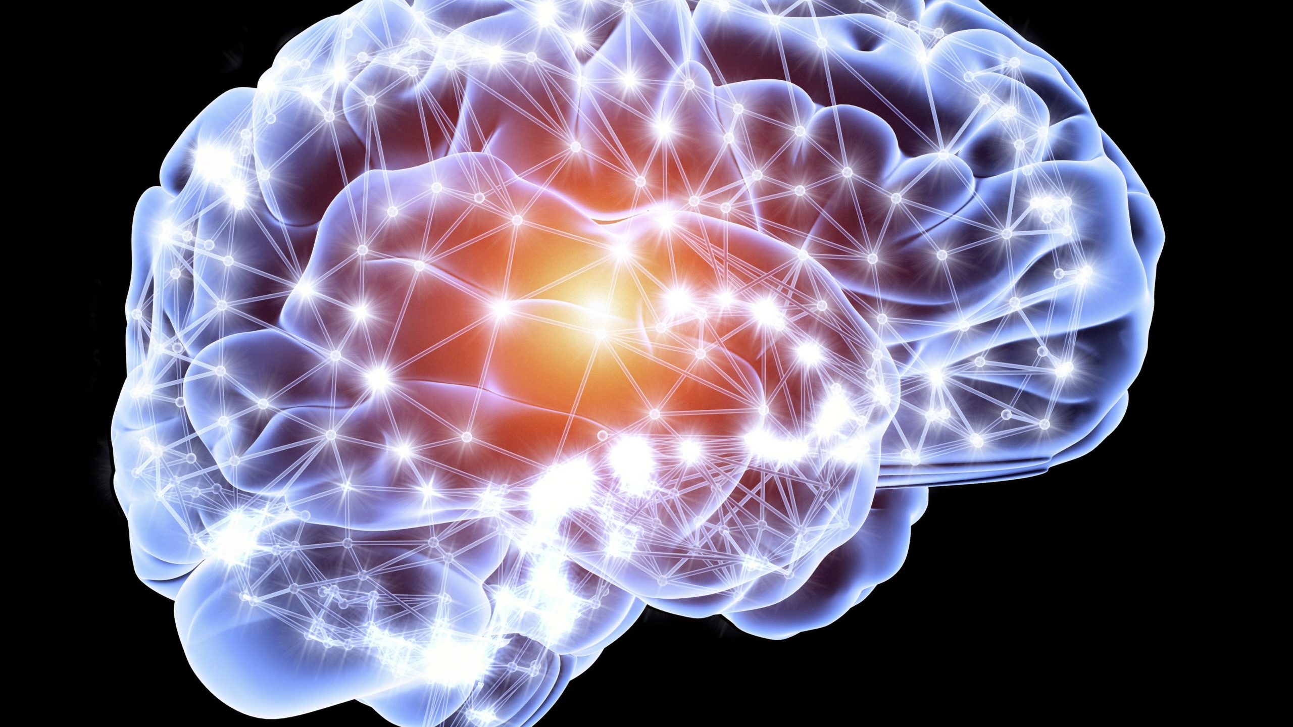 Нейронная сеть мозга человека