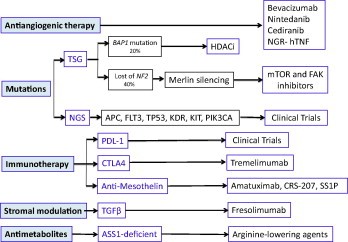 New hope for patients with malignant pleural mesothelioma