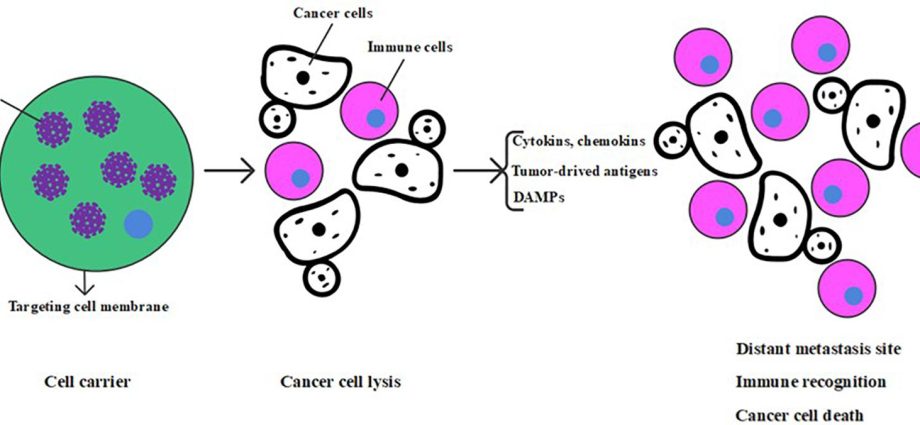 New Method to Destroy Cancer Using Modified Viruses. Is this a breakthrough in cancer treatment?