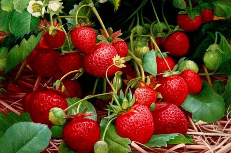 New strawberry varieties: description and characteristics