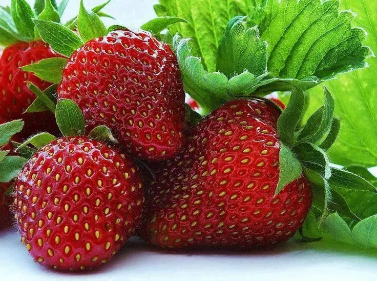 New strawberry varieties: description and characteristics