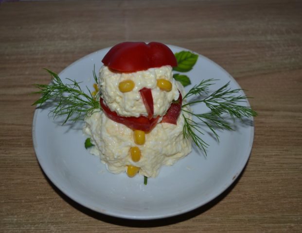 New Years salad Snowman: 9 recipes with photos