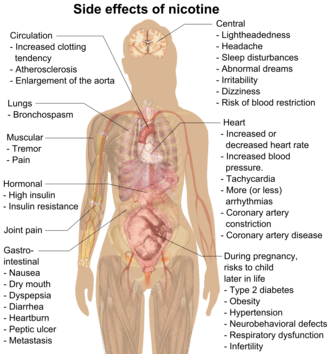 Nicotine &#8211; properties, action, harmfulness