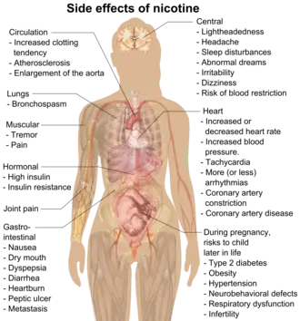 Nicotine &#8211; properties, action, harmfulness