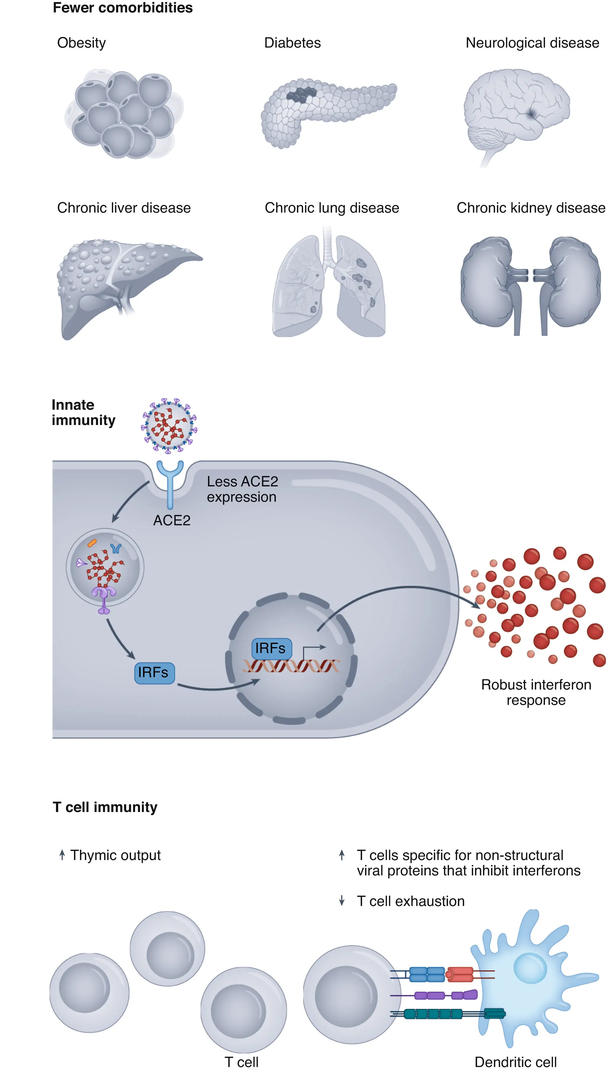 Nine diseases that reduce immunity