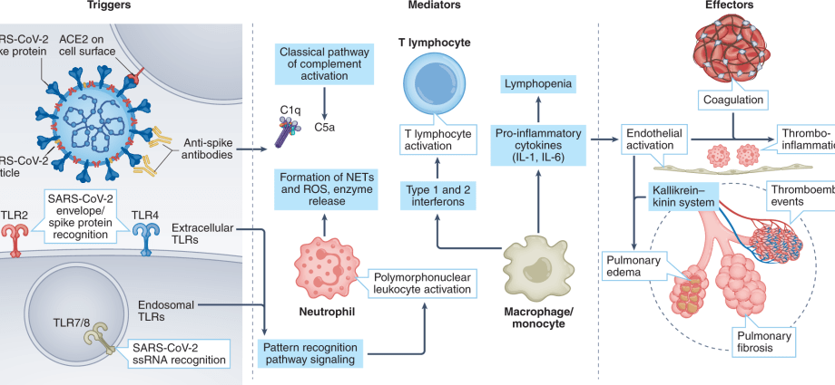 Nine drugs have the potential to treat COVID-19. These are well-known preparations