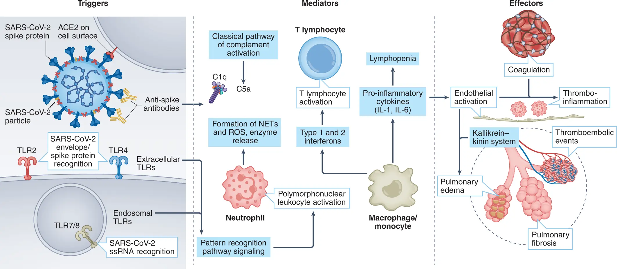 Nine drugs have the potential to treat COVID-19. These are well-known preparations