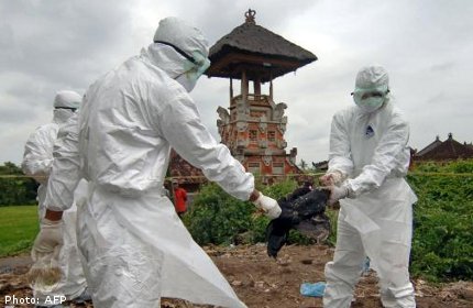 Ninth bird flu death this year in Indonesia