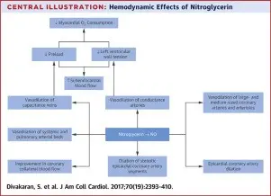 Nitroglycerin &#8211; action, purpose, dosage, contraindications, substitutes